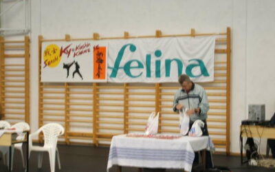 Regionális Gyermek, Serdülő, Ifjúsági, Junior, Felnőtt, Nyílt Kyokushin Karate Verseny