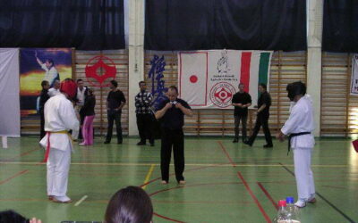 Nemzetközi Felnőtt, Senior Kyokushin Karate Verseny