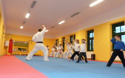 Sportolást népszerűsítő programsorozat – Karate