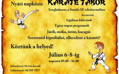 Nyári napközis karate tábor