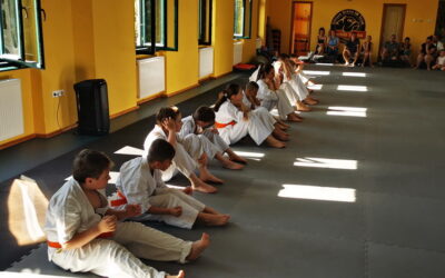 Karate övvizsga 2025.06.29.