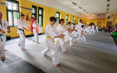 Karate övvizsga 2026.06.13.